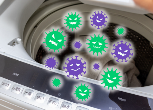 洗濯機の中に雑菌が増殖している