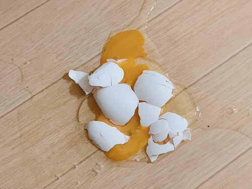 床に落として割れた卵